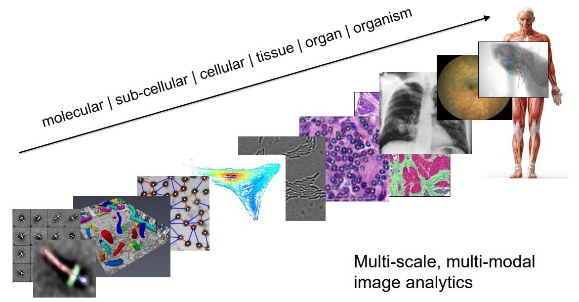 Biomedical Image Analytics through AI ML